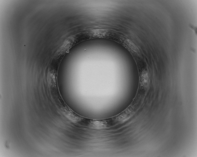 X0000097290522200802151418