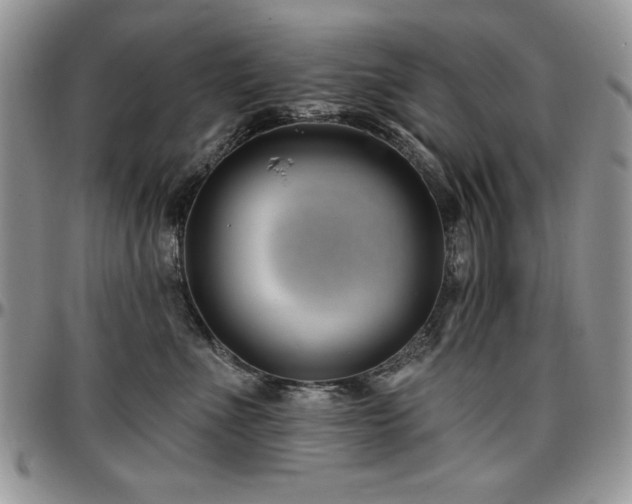 X0000097290523200802151418