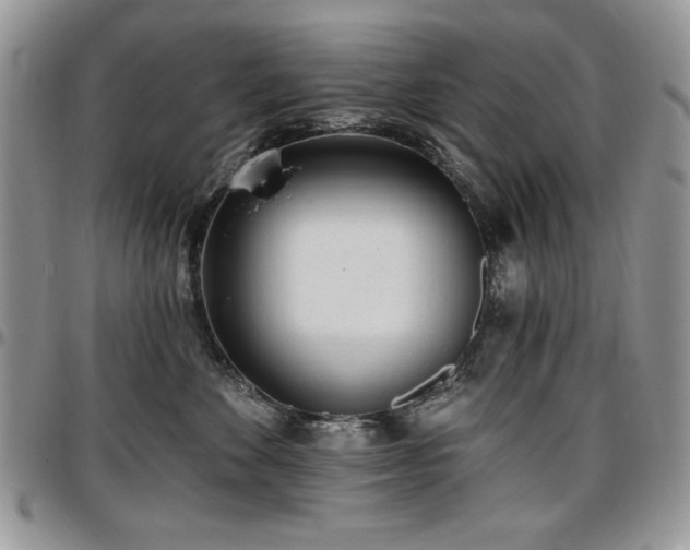 X0000097290524200802151418