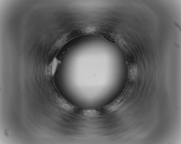 X0000097290525200802151418