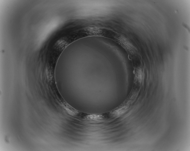 X0000097290526200802151418