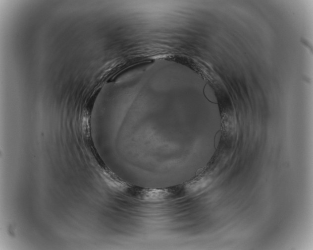 X0000097290527200802151418