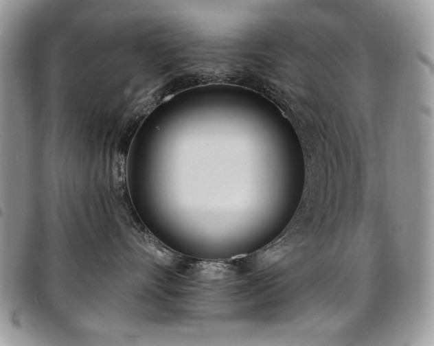 X0000097290528200802151418
