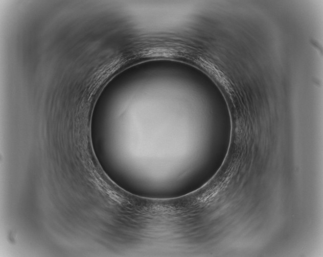 X0000097290529200802151417