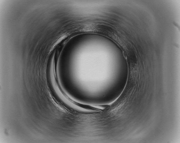X0000097290530200802151417