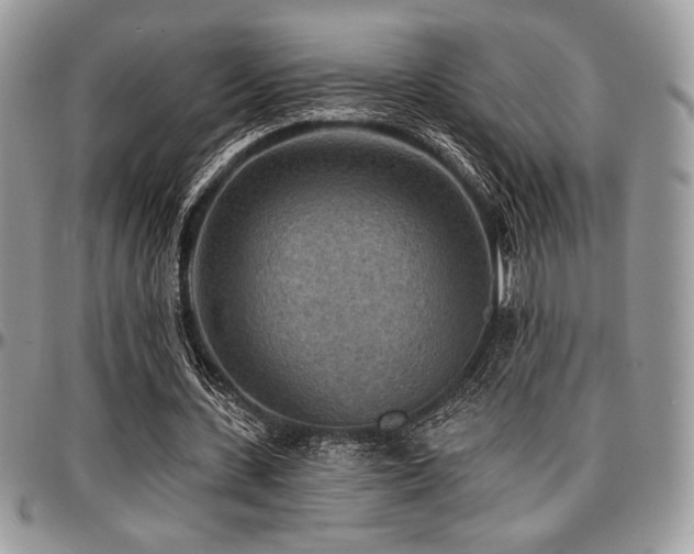 X0000097290531200802151417