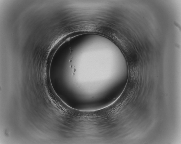 X0000097290532200802151417