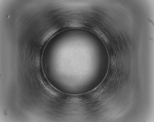 X0000097290533200802151417