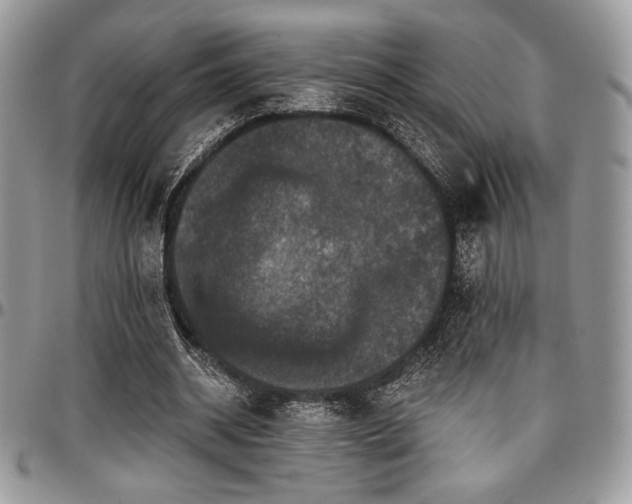 X0000097290534200802151417