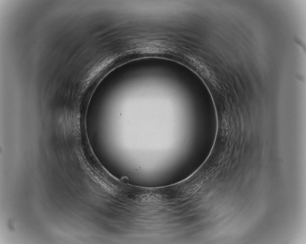 X0000097290535200802151417