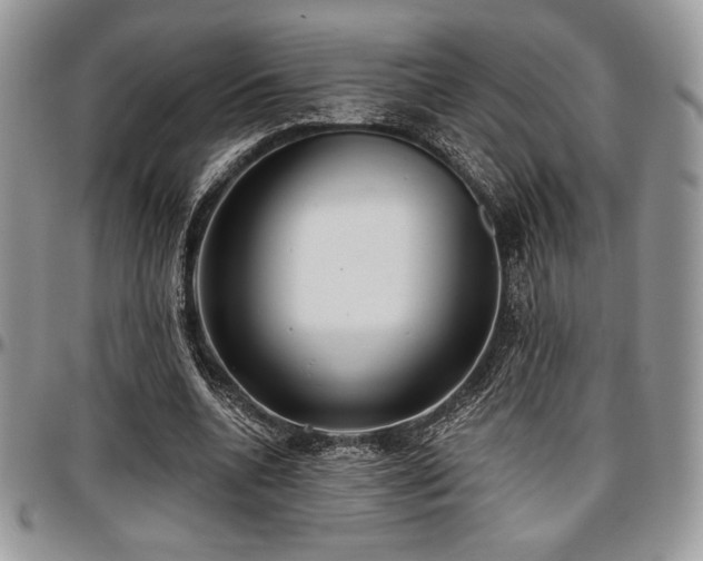 X0000097290536200802151417
