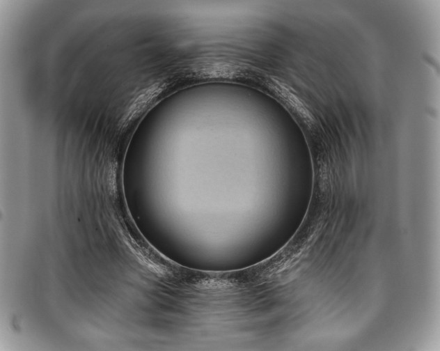 X0000097290537200802151417