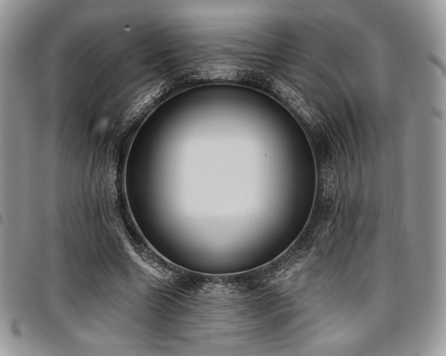 X0000097290538200802151417
