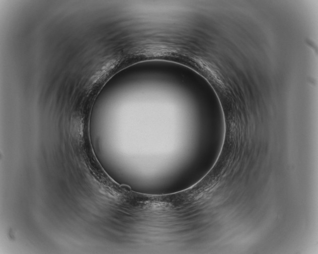 X0000097290539200802151417