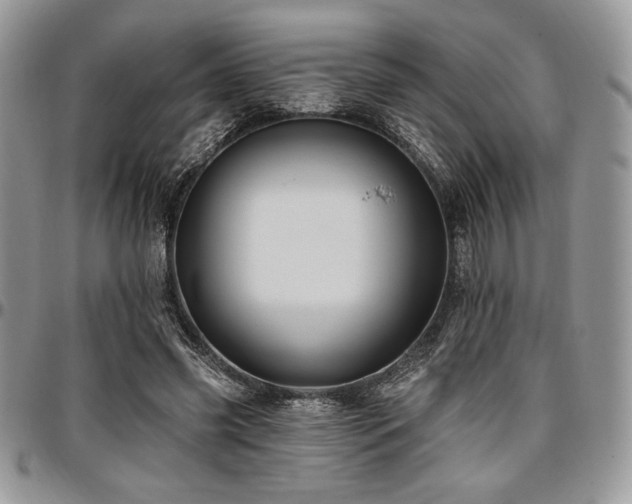 X0000097290541200802151417