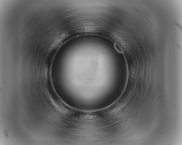 X0000097290542200802151417