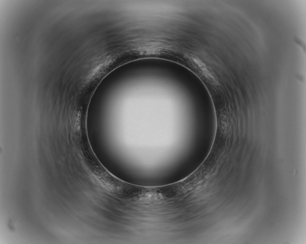 X0000097290543200802151417