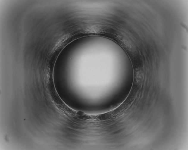 X0000097290544200802151417
