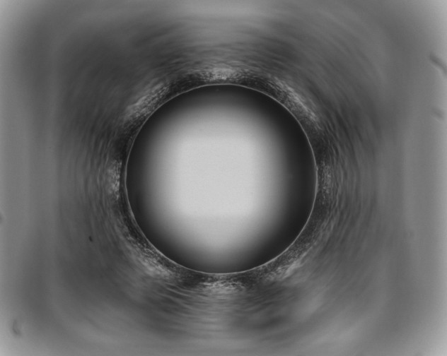 X0000097290545200802151417