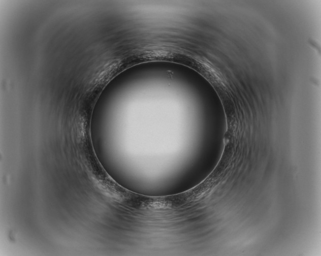 X0000097290546200802151417