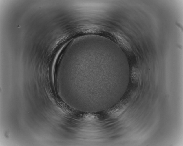 X0000097290547200802151417