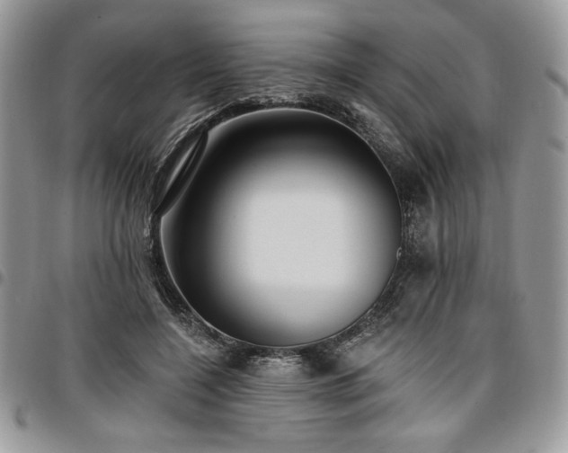 X0000097290548200802151417