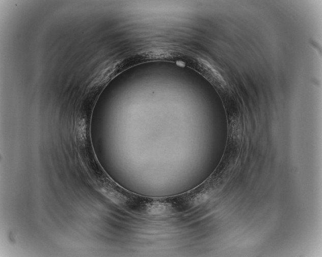 X0000097290549200802151417