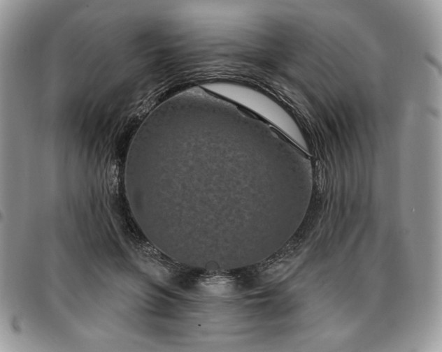 X0000097290551200802151417