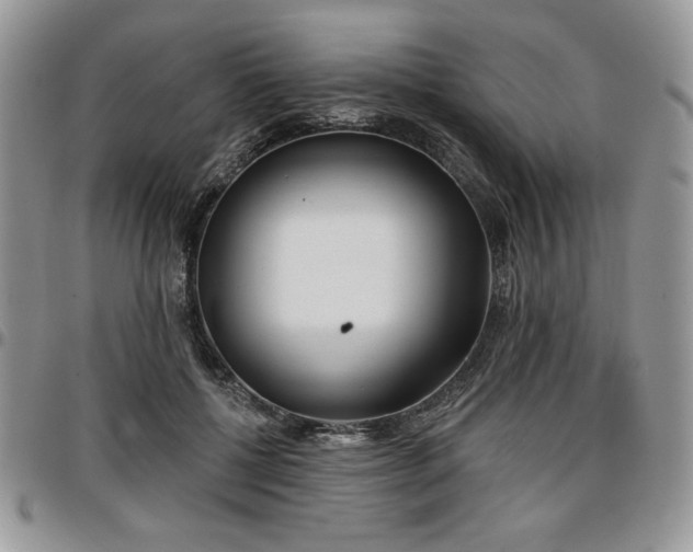 X0000097290552200802151417