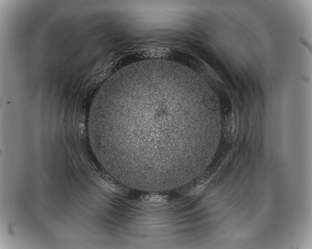 X0000097290553200802151417