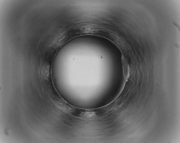 X0000097290554200802151417