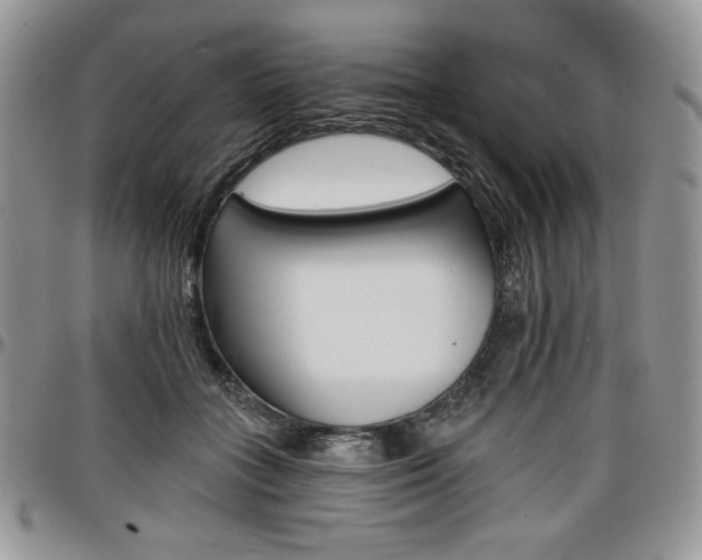 X0000097290555200802151417