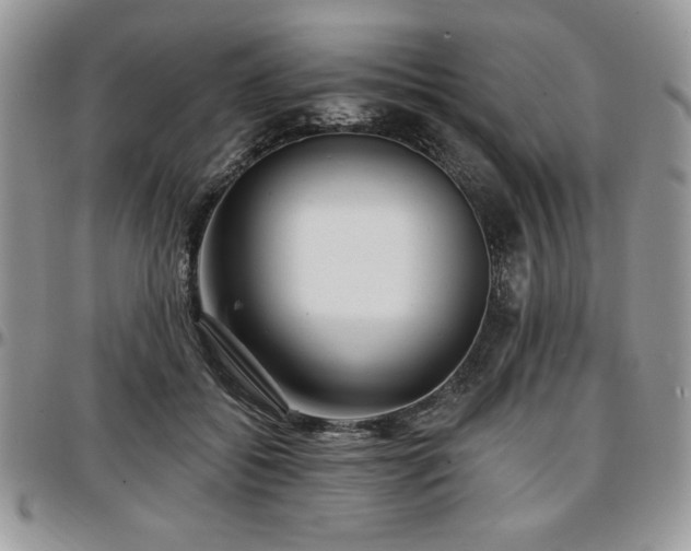 X0000097290556200802151417