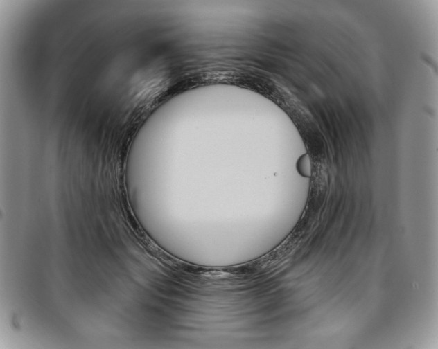 X0000097290557200802151417