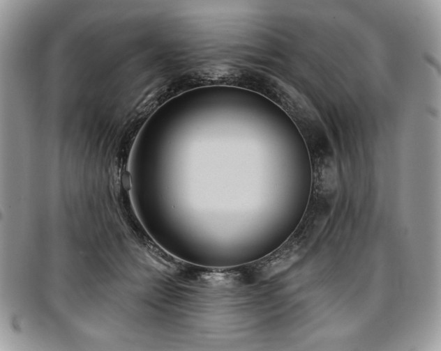 X0000097290558200802151418
