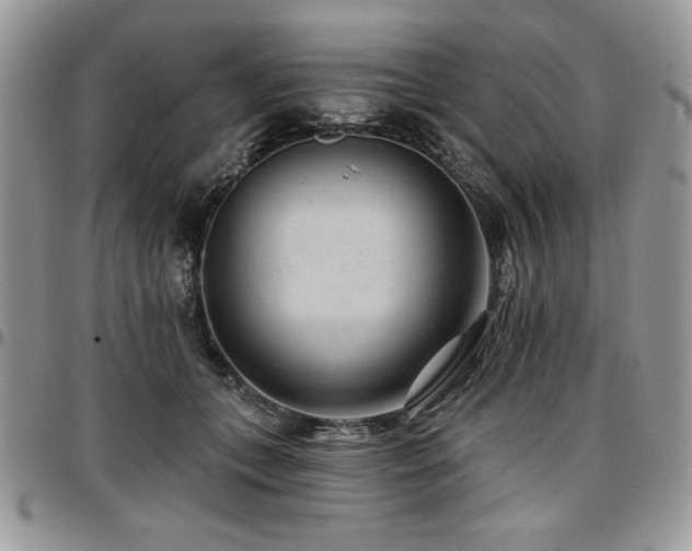 X0000097290559200802151418