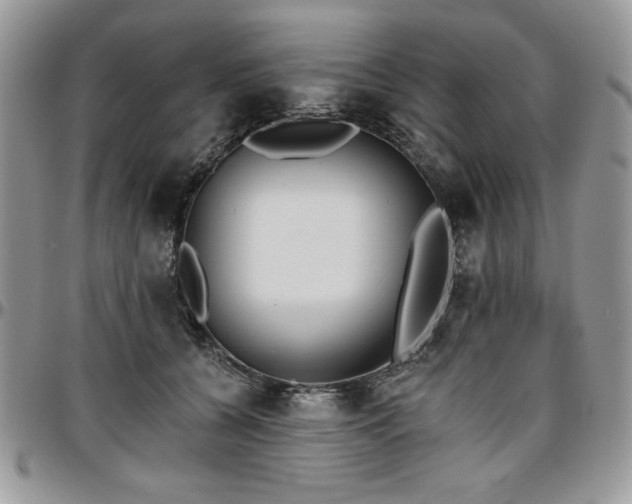 X0000097290560200802151418