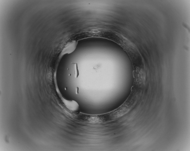 X0000097290562200802151418