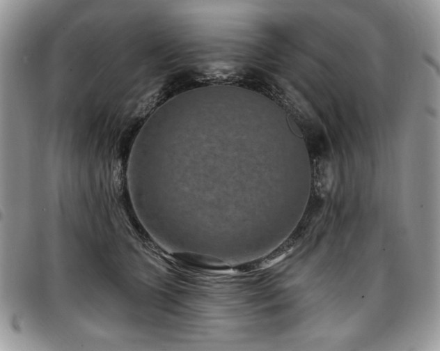 X0000097290563200802151418
