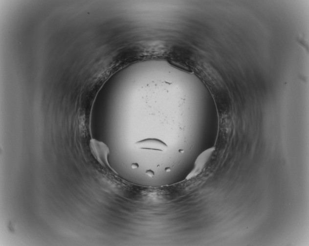 X0000097290564200802151418