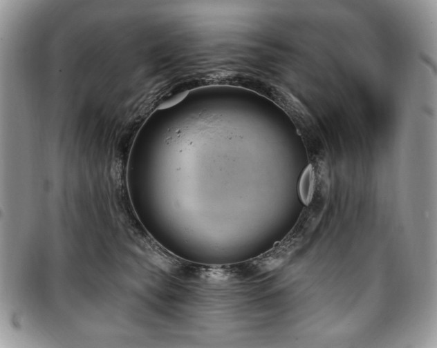 X0000097290565200802151418