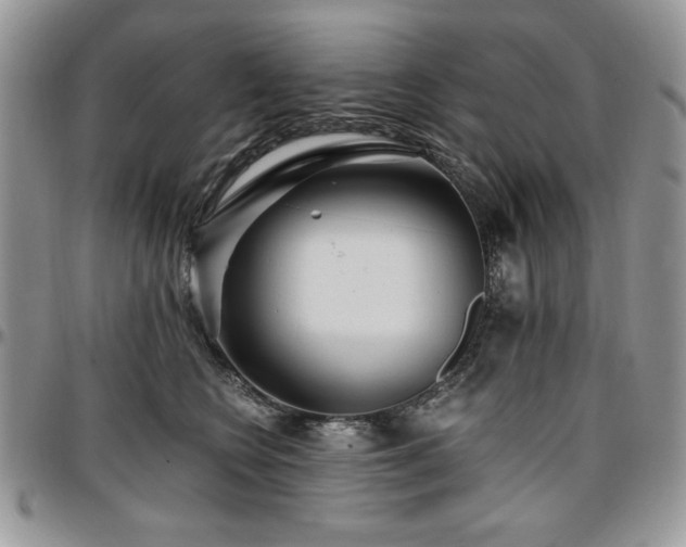 X0000097290566200802151418
