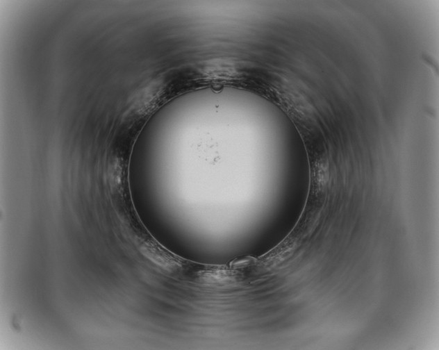 X0000097290567200802151418