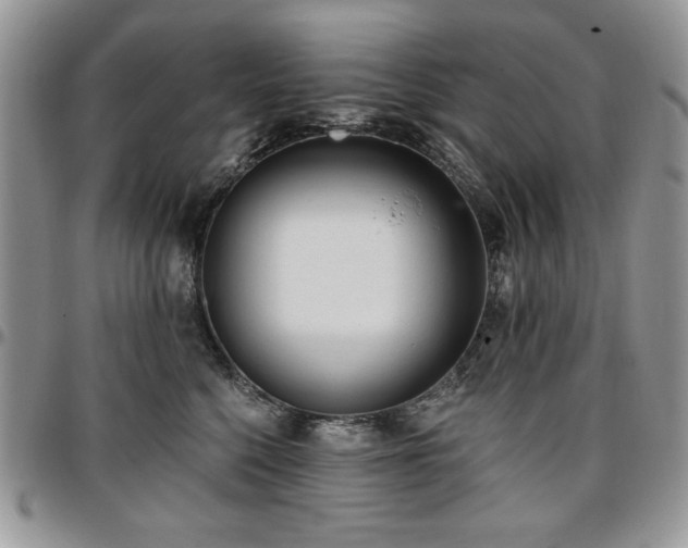 X0000097290568200802151418
