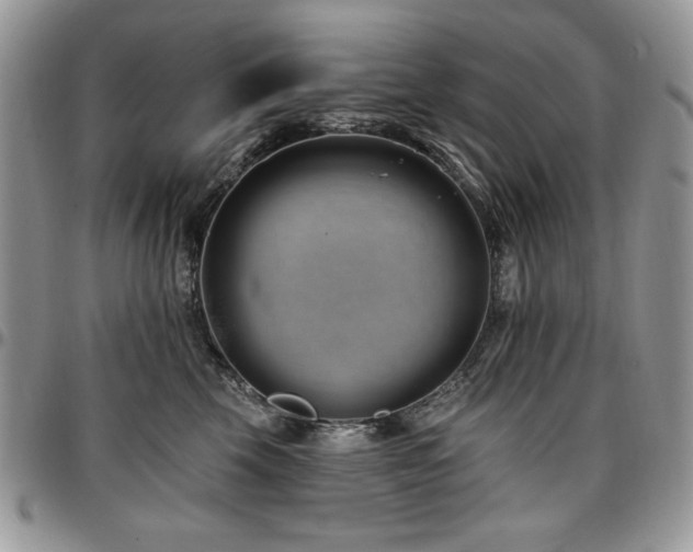 X0000097290569200802151418