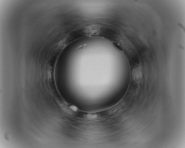 X0000097290570200802151418