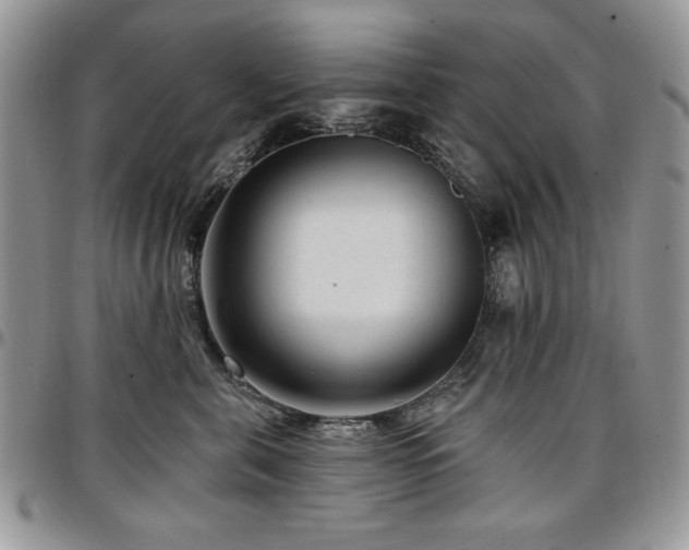 X0000097290571200802151418