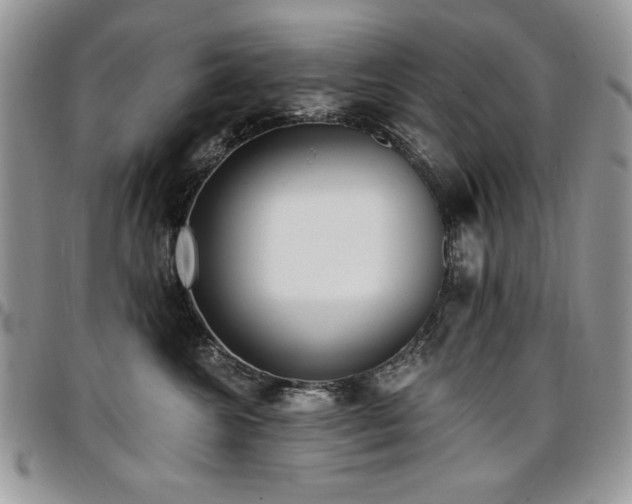 X0000097290572200802151418