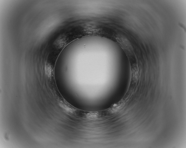 X0000097290574200802151418