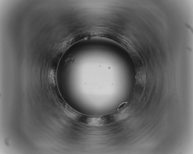 X0000097290575200802151418